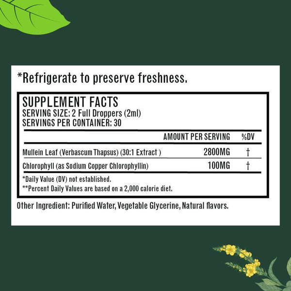 All-Natural Mullein Leaf Extract Drops – Respiratory & Lung Health Support
