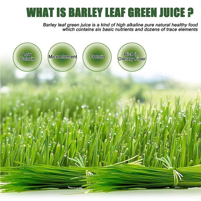 Barley Grass Powder 250g Non-GMO Vegan Cold-Juiced and Low-Temperature Dried