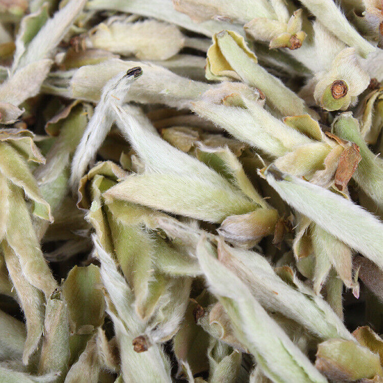HelloYoung Yunnan Tea Daxue Mountain Early Spring White Buds Old Tree Puerh Raw Tea 500g