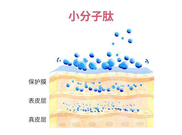 Collagen peptide small molecule peptide fish collagen peptide powder 3g*20 bags