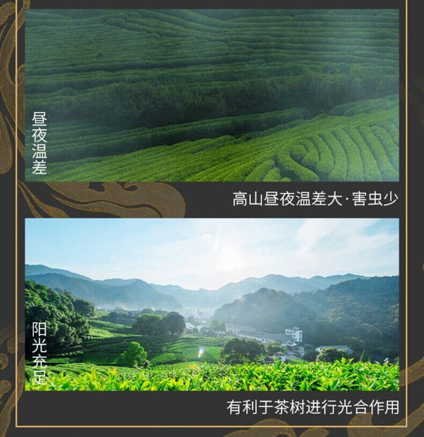 2025 Mingqian Longjing Green Tea Spring Harvest Premium Gift Box Small Can