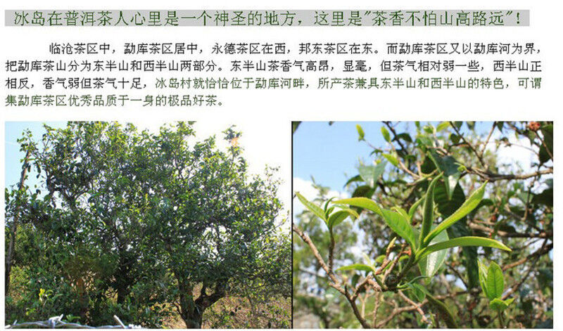 250g Ripe PuEr Tea Tree High Quality Yunnan Pu'er Puerh Tea Black Tea Brick