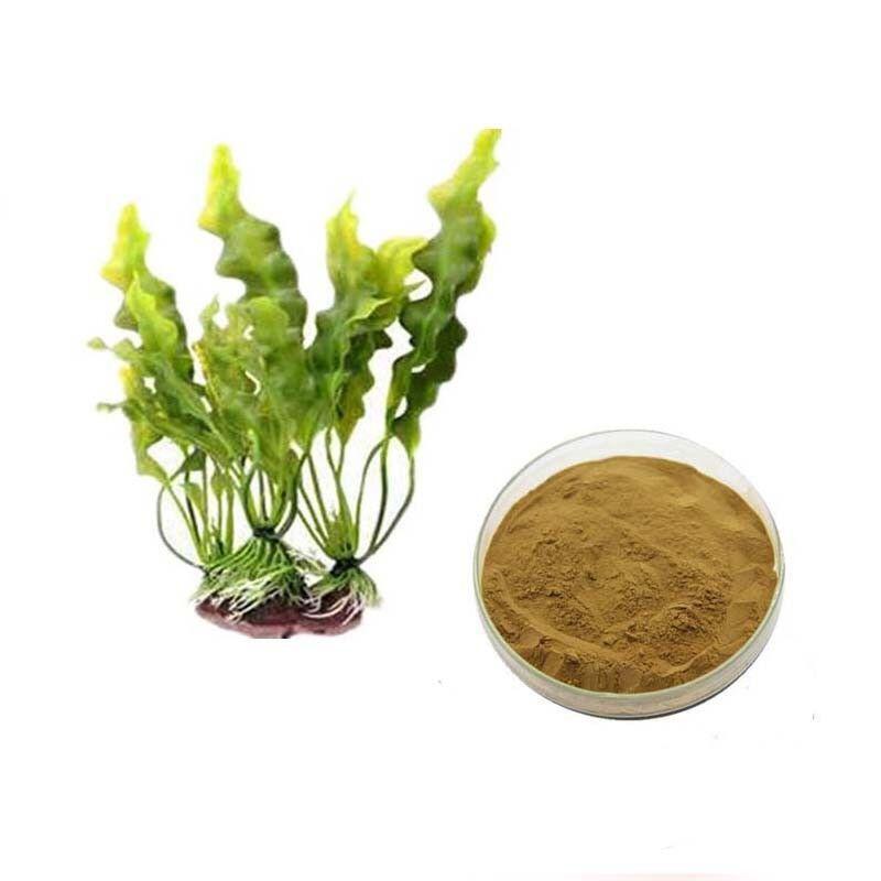 100g Fucoxanthin Powder 10% – Seaweed Extract for Weight Loss, Not Fucoidan Main image