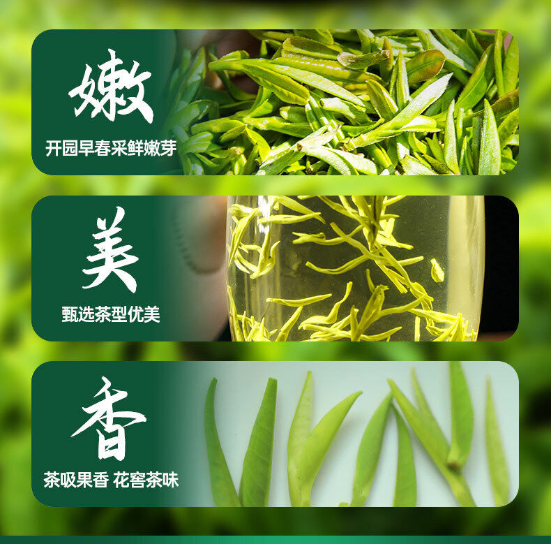 Minggulan Biluochun Green Tea  Canned 80G Fragrant and Sweet Spring Tea Buds