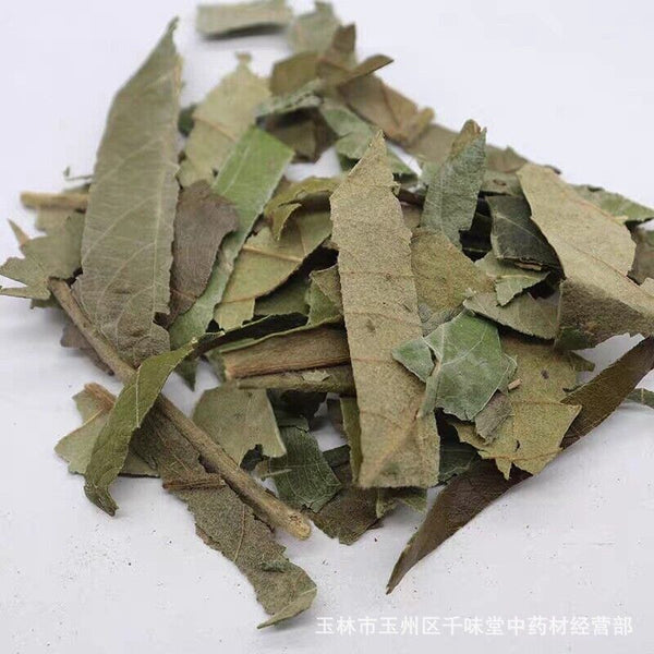 Fresh Oquat Leaf Chinese Herbal Guangxi Wild Loquat Leaf Dried Loquat Leaf Tea