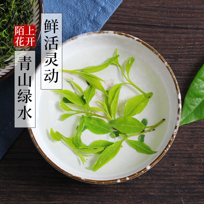 Leaf of Chinese Holly Sichuan Special Grade Tea 2pcs Chinese Herbal Tea Main image
