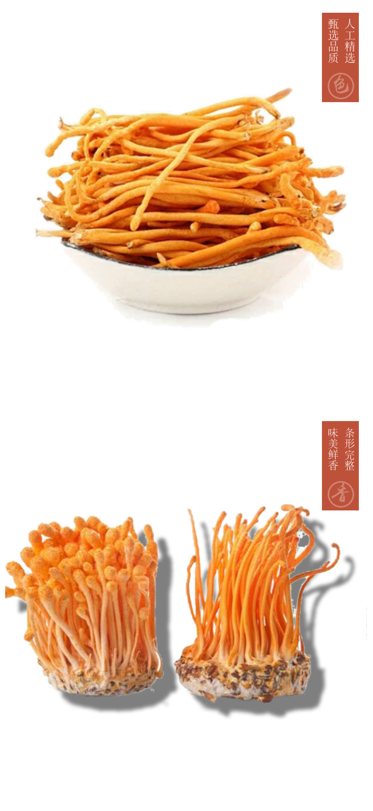 250g Plateau Cordyceps Flower Dry Goods Selected Natural Cordyceps Flower