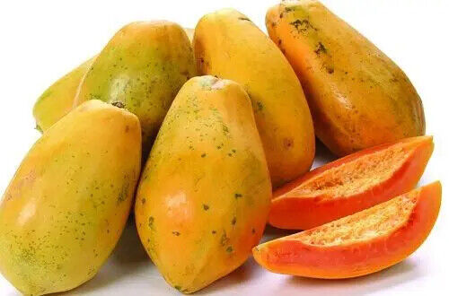 High Quality Chinese Herbal Extract Papaya Powder/Chaenomeles Extract Powder