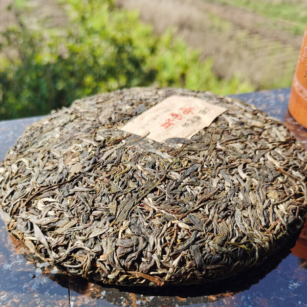 HelloYoung Python Qing Ancient Tree Tea High Quality Pu'er Tea Green Tea Health Care