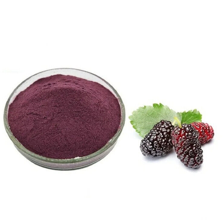 Mulberry Powder Mulberries Fruit Powder Extract ISO Certificate for Drink Main image