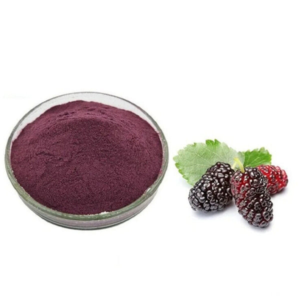 Mulberry Powder Mulberries Fruit Powder Extract ISO Certificate for Drink