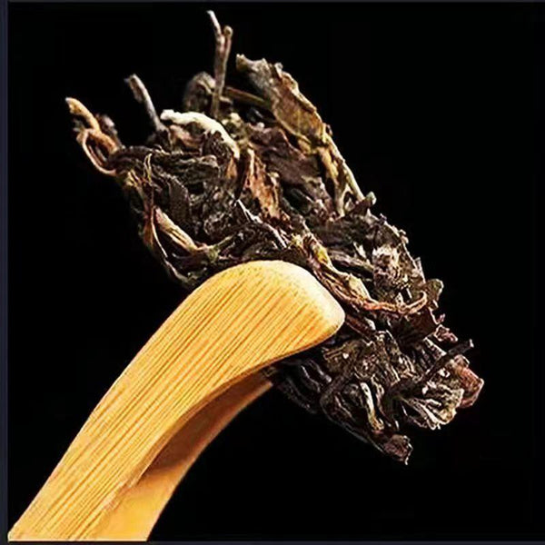 357g Yunnan Raw Puerh Tea Wild Old Pu-erh Tea 2009 Xigui Aged Pu'er Raw Tea Cake