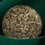 HelloYoung 300g Fuding white tea white peony tribute eyebrow shoumei flower fragrance