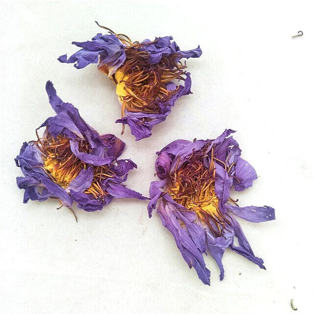 HelloYoung FullChea 20-25 pcs Egyptian Blue Lotus Flower Tea Bags Premium Lotus Herba Tea