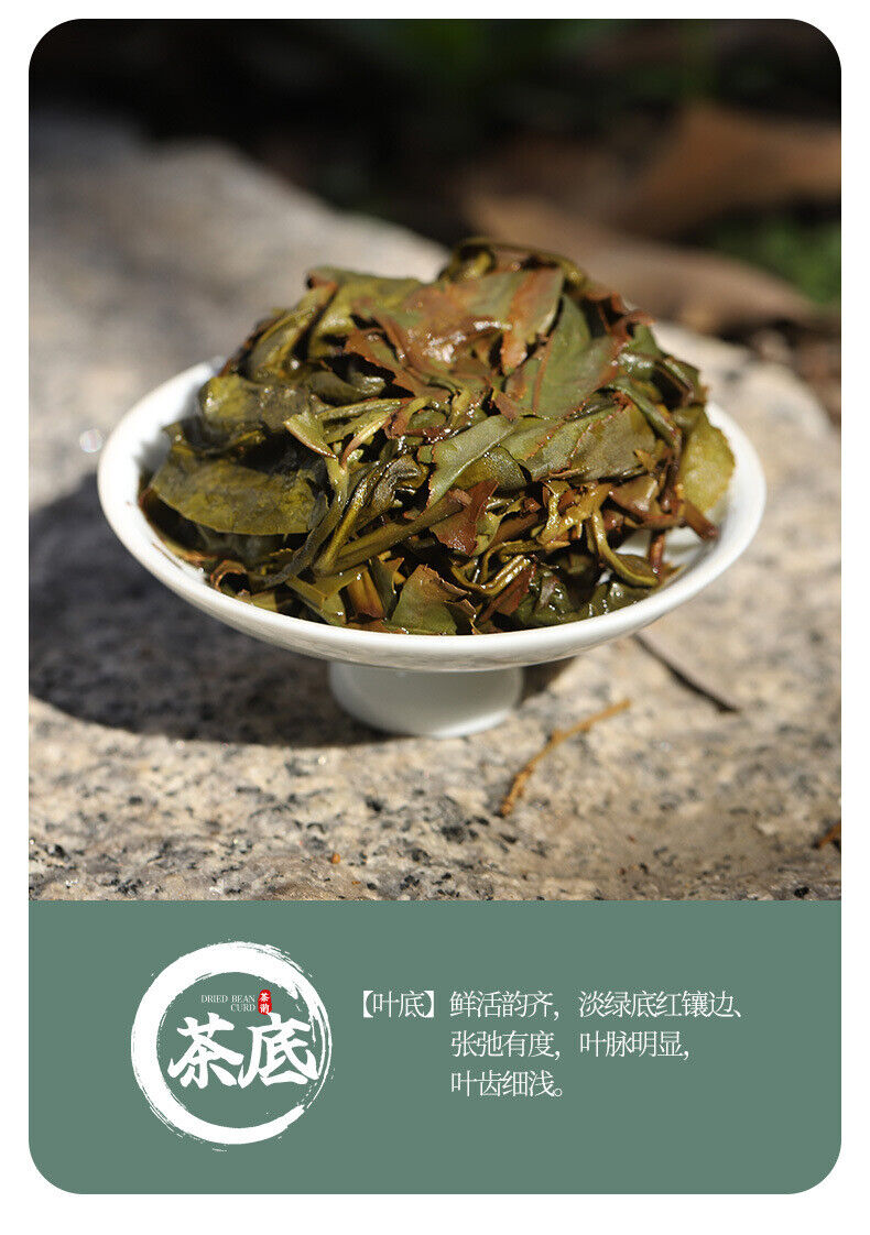 High Altitude Floral & Milky Aroma Oolong Tea Fujian Zhangping Shui Xian Tea
