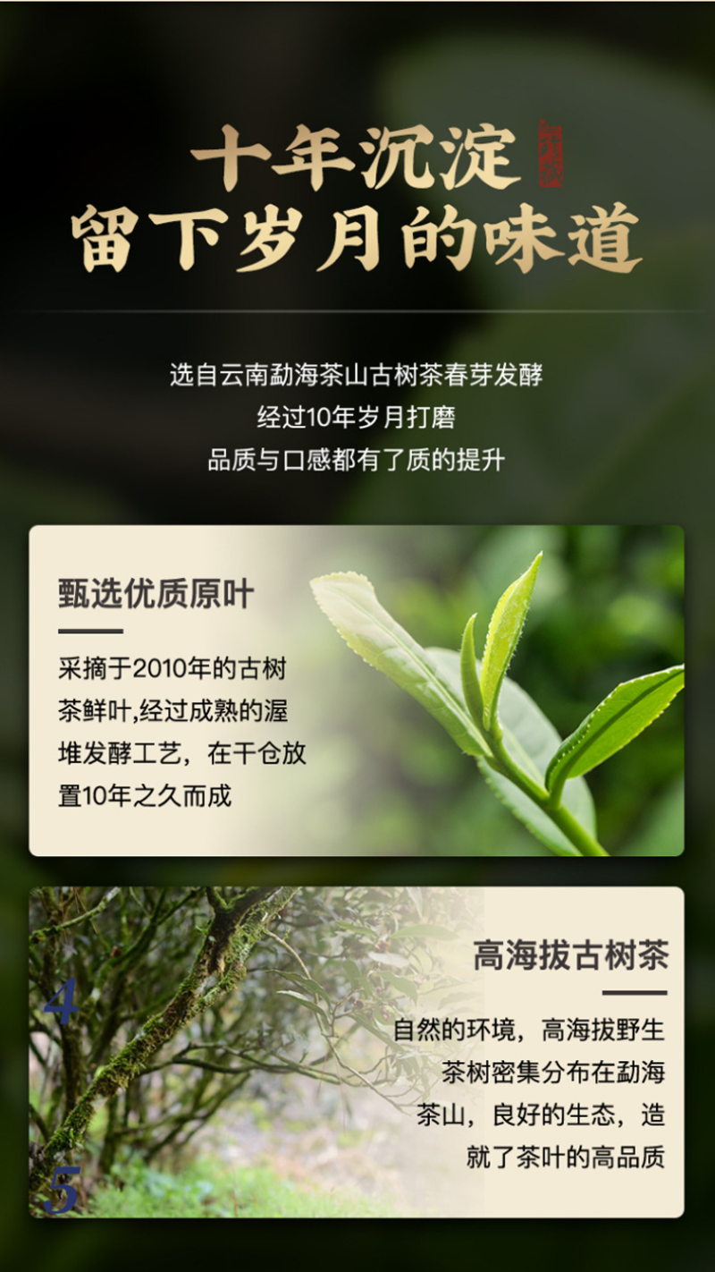 HelloYoung Glutinous Rice Fragrance Crushed Silver Tea Fossil Yunnan Pu'er Ripe Tea 50g/Can