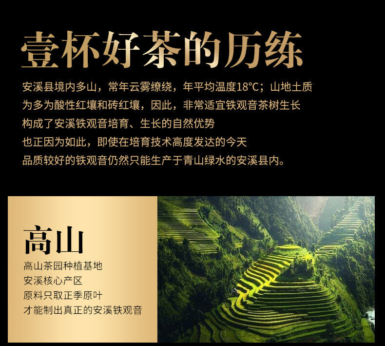 Tieguanyin New Tea Alpine Fragrance Gift Box 280g Fujian Oolong Tea