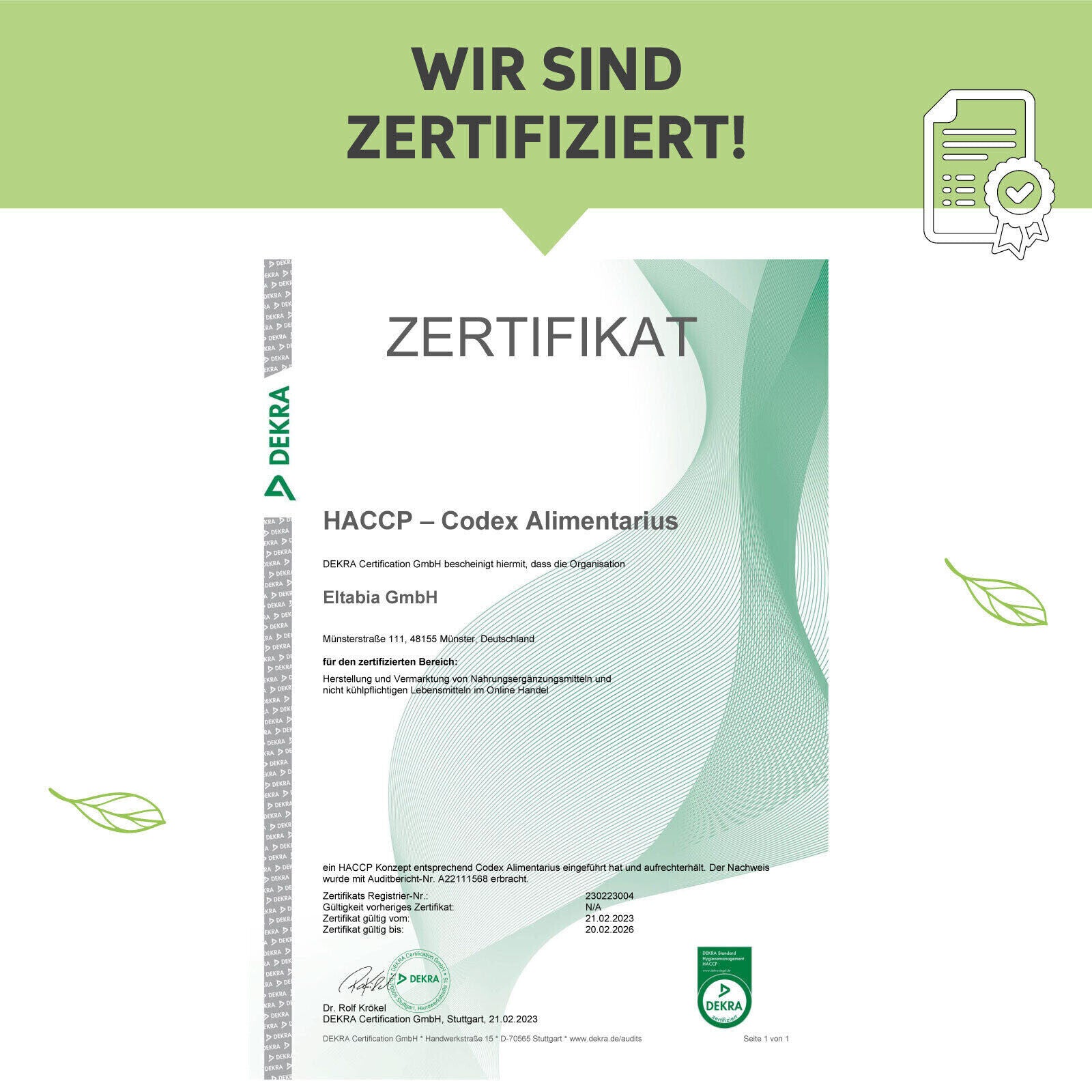 Bio Matcha Pulver Tee 50g | Premium Matchapulver | 100% ohne Zusätze | Grüntee