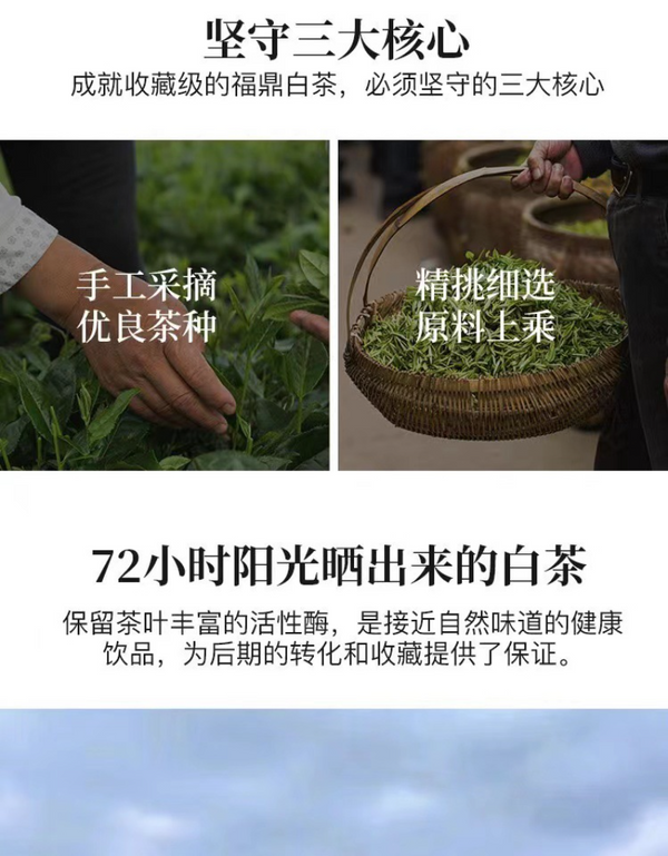 HelloYoung 350g Fuding high mountain white tea aged day sun old tea cake gongmei shoumei