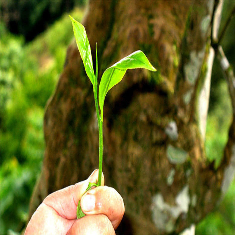 330g Ripened Pu-erh Tea Cake Organic Cooked Puer Tea Factory Direct Green Food 茶