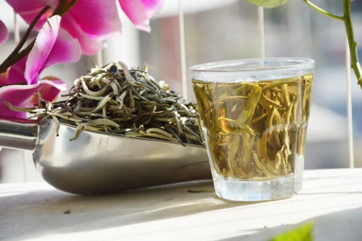 HelloYoung New White Tea Natural Organic Tea Baihaoyinzhen Silver Needle Tea 100g