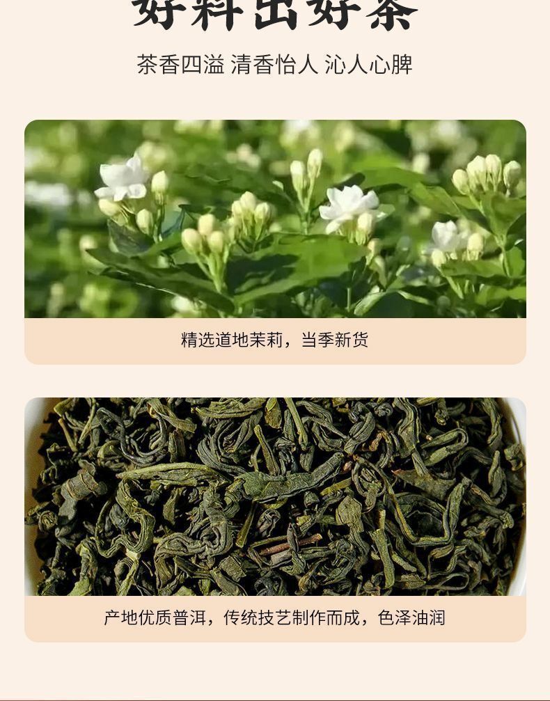 Jasmine Green Tea Intense Jasmine Tea