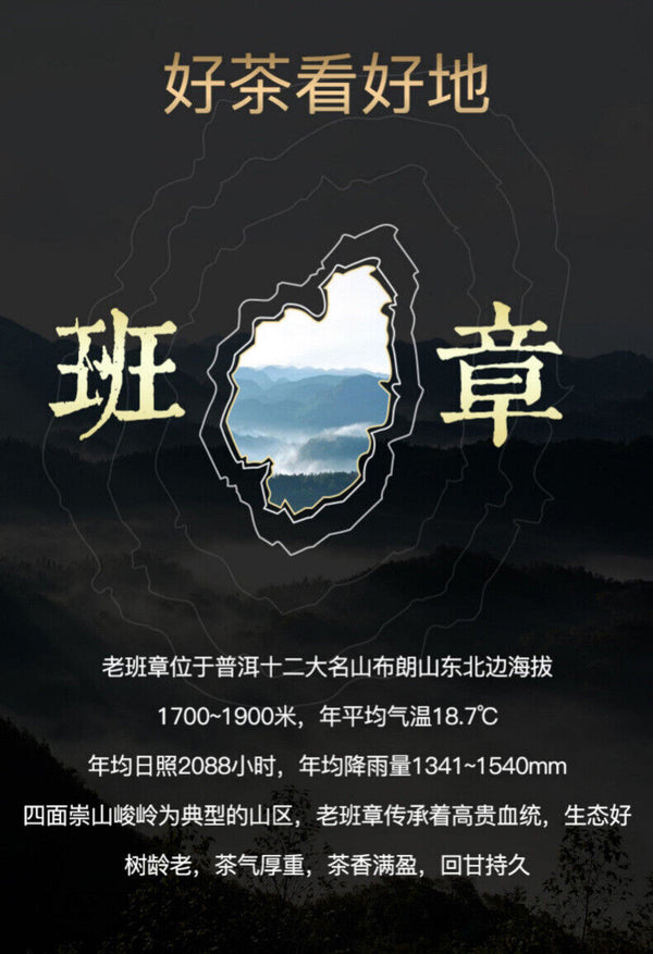 Yunnan Aged Ancient Tree Tea Leaves Lao Ban Zhang Puerh Tea Cake Ripe Puerh 357g