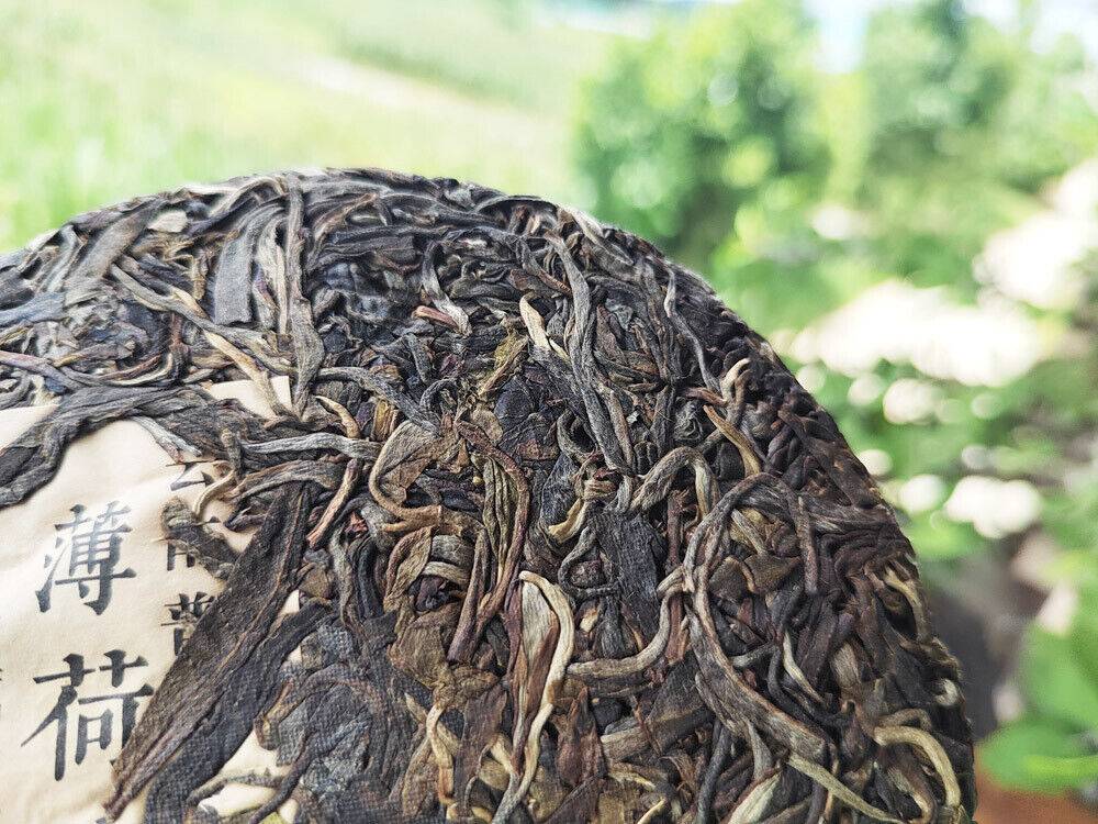 HelloYoung 200g MintHotang Ancient Tree Tea Yiwu Old Tree Raw Pu'er First Spring Jiaoji Tea