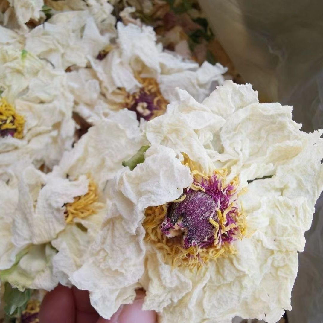 Peony Flower Dried White Peony Flower Petals Whole Main image