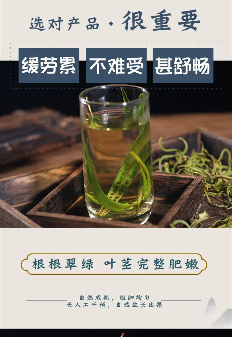 Orthosiphon Aristatus Golden Grass Tea 50g Canned - Kidney Health Herbal Tea