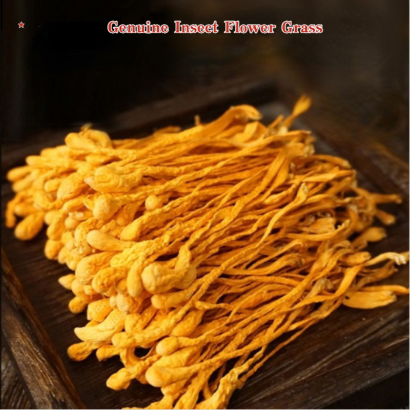 HelloYoung Chinese Anti-aging Cordyceps Flower100g Chong Cao Hua Lowering Blood Pressure