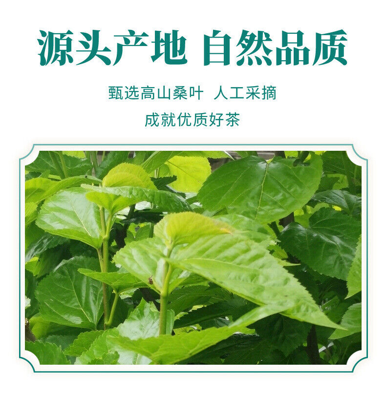 Granules Frosty Leaves 100g Herbal Tea Trendy Organic Mulberry Leaf Tea