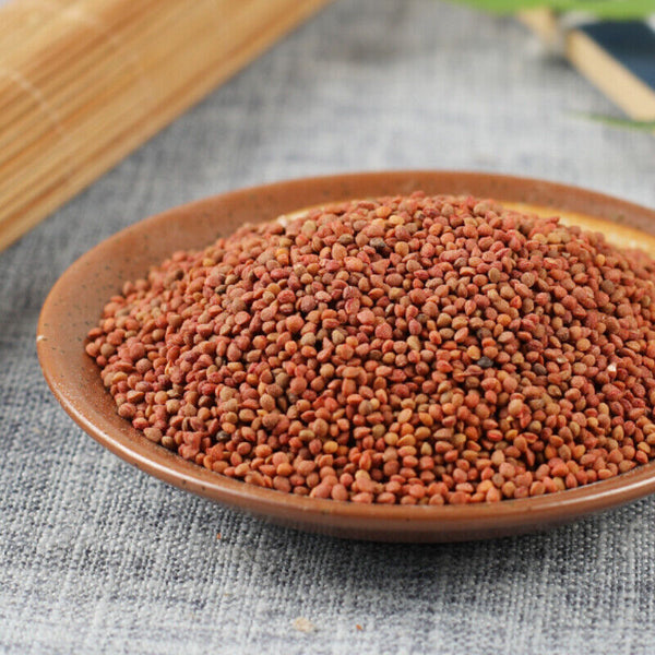 HelloYoung 500g Featured Natural Healthy Herbal TeasChu Shizi Top Quality Health Care 精选楮实子