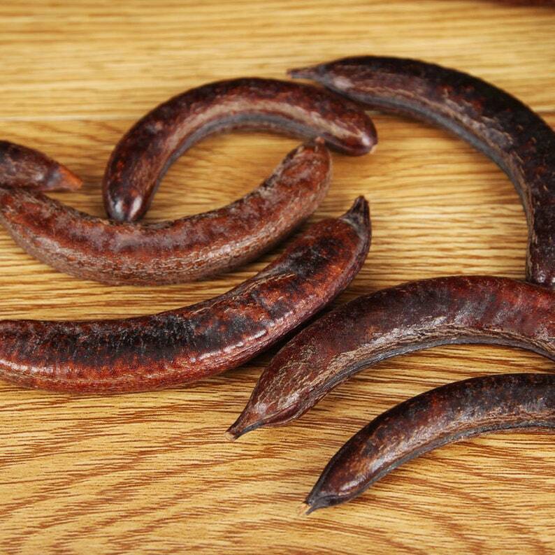 Organic Dried Fructus Gleditsiae Abnormalis Herba Gleditschia officinalis Secondary image