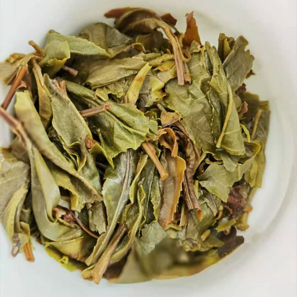 HelloYoung Golden Brick Ancient Tree Golden Leaf Pinghe Ancient Tree Tea Pu-erh Tea Raw Pu