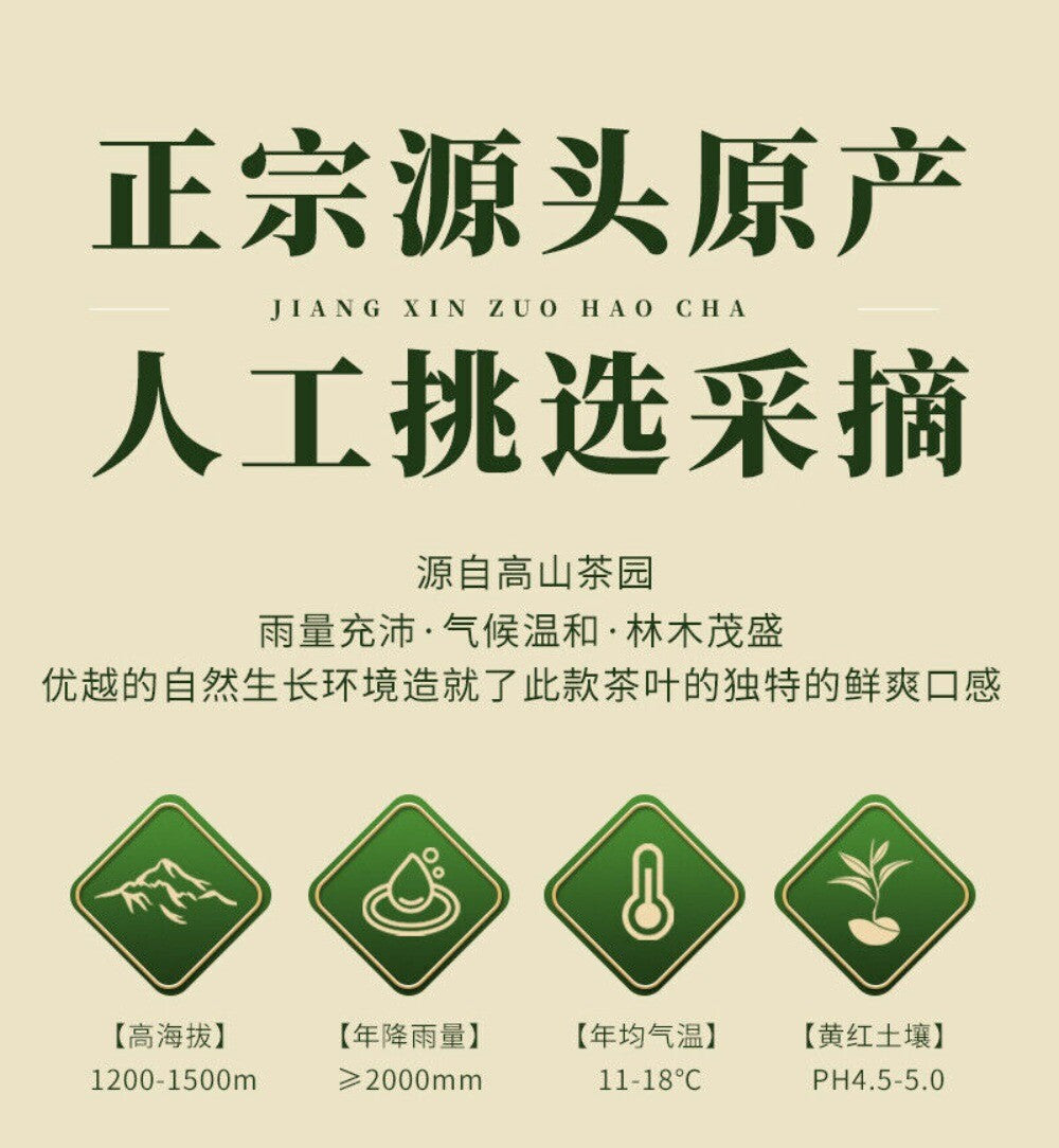 2025 Biluochun Green Tea Fresh Fragrant Mountain Grown Premium Loose Leaf