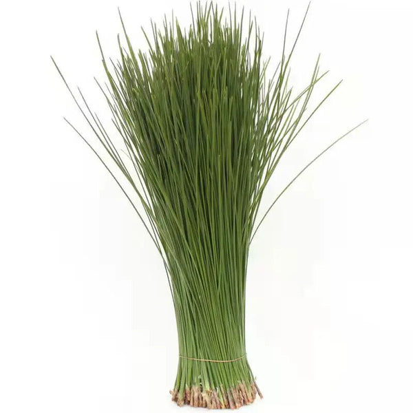 First Grade Natural Chinese Herbs Pine Needles Tea for Improving Sleeping