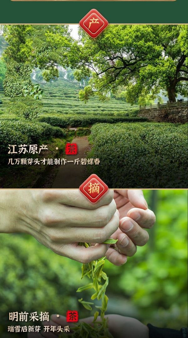 Good Tea Yunwu Biluochun Fragrant Sweet Green Tea Minggulan Brand New Tea 76g