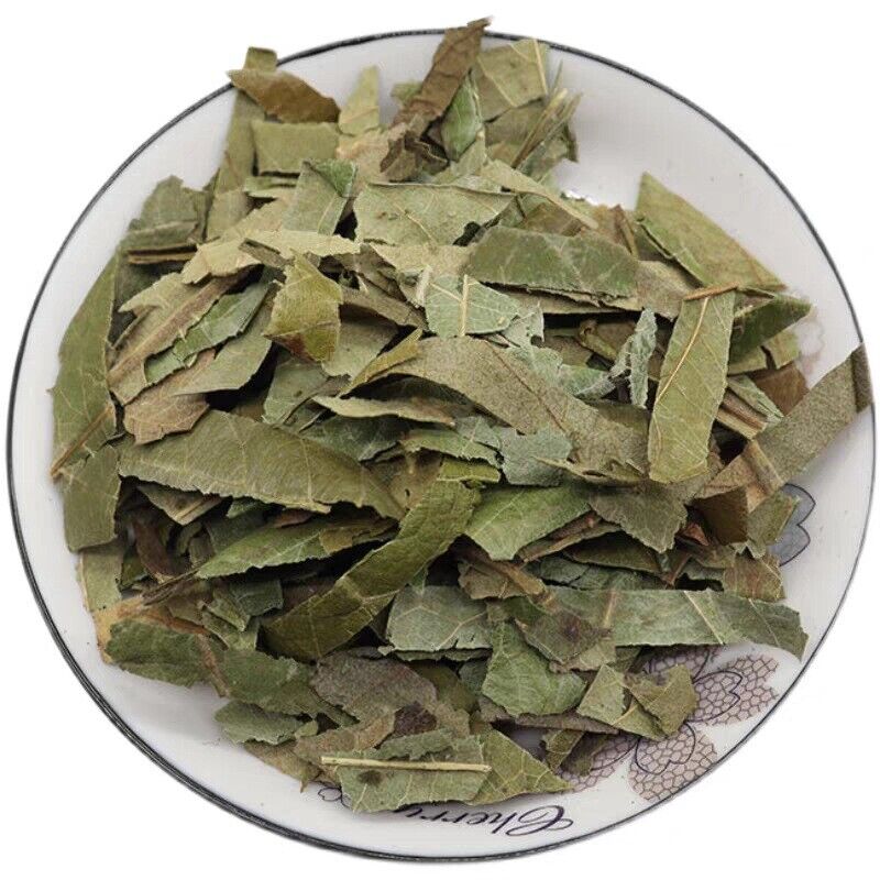 Fresh Oquat Leaf Chinese Herbal Guangxi Wild Loquat Leaf Dried Loquat Leaf Tea