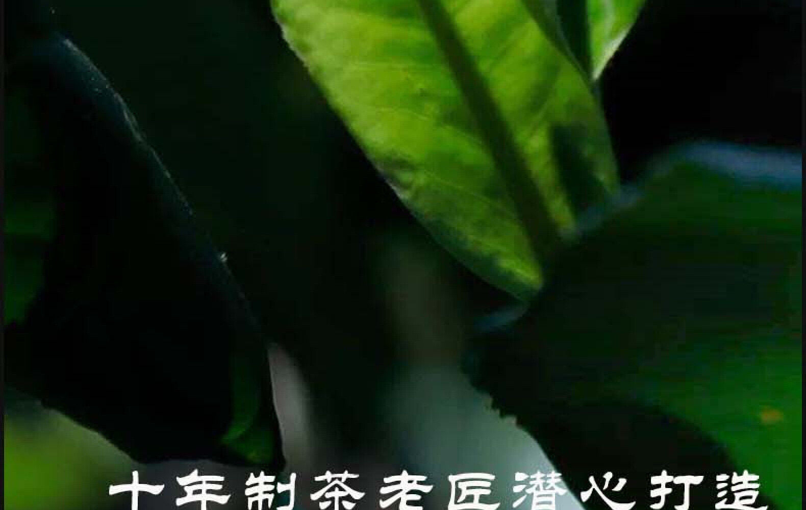 HelloYoung Yunnan Pu'er Tea Mengku Lincang Icelandic Raw Tea Cake Tea 357g Ancient Tree Tea
