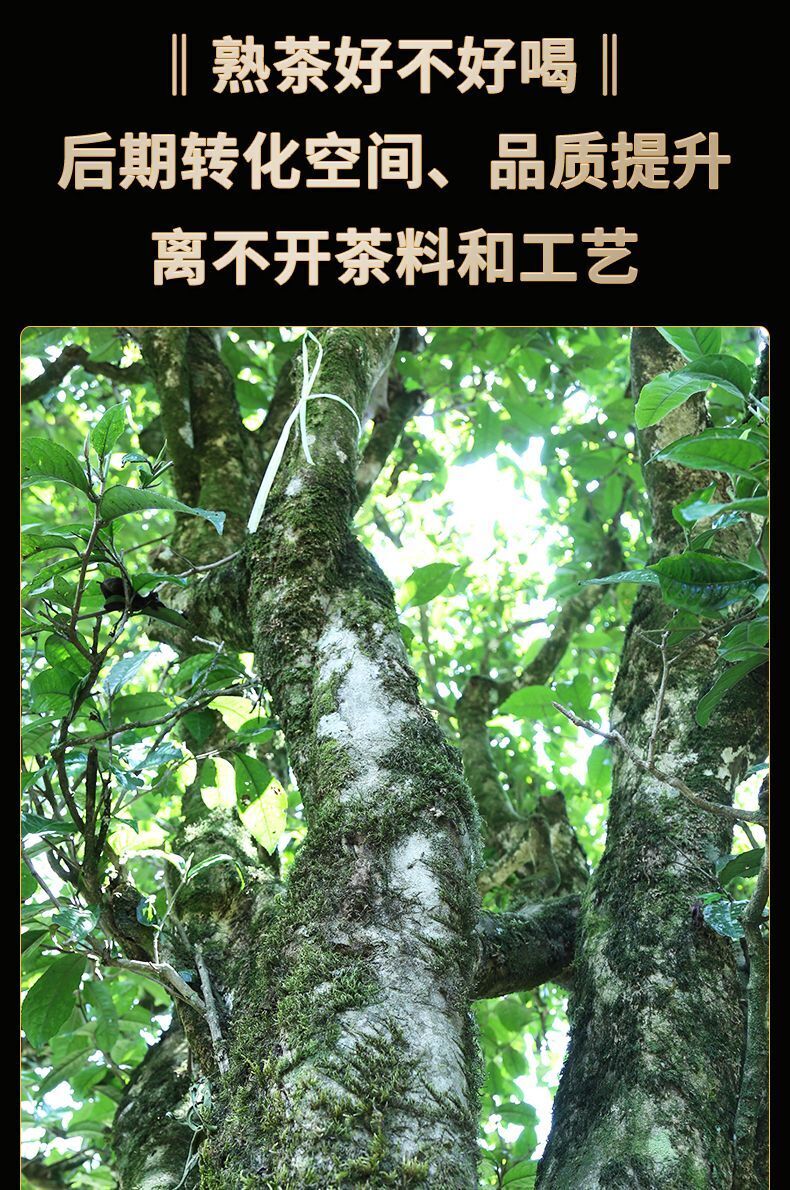 Yunnan Pu'er Ripe Tea Royal Collection Palace Ingredients Cake Tea 357g