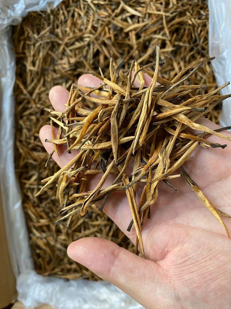 HelloYoung 250g Yunnan black tea big gold needle Yunnan Fengqing black tea big gold bud