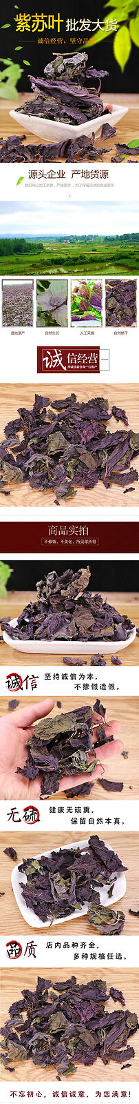 HelloYoung Perilla Leaf Herbal Medicine Perilla Leaf Perilla Leaf Perilla 500g/1.1lb