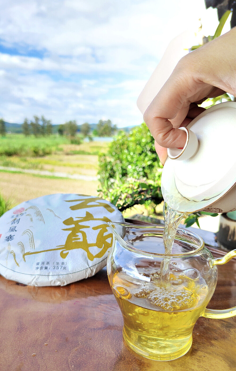 HelloYoung Scraping Walled Pu'er Tea Cake Yiwu Ancient Tree Raw Tea First Spring Yunnan Tea