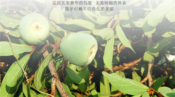 HelloYoung 50g Detox Beauty Organic Healthy Drink Anti-Aging Chinese Herbal Tea Flower Tea
