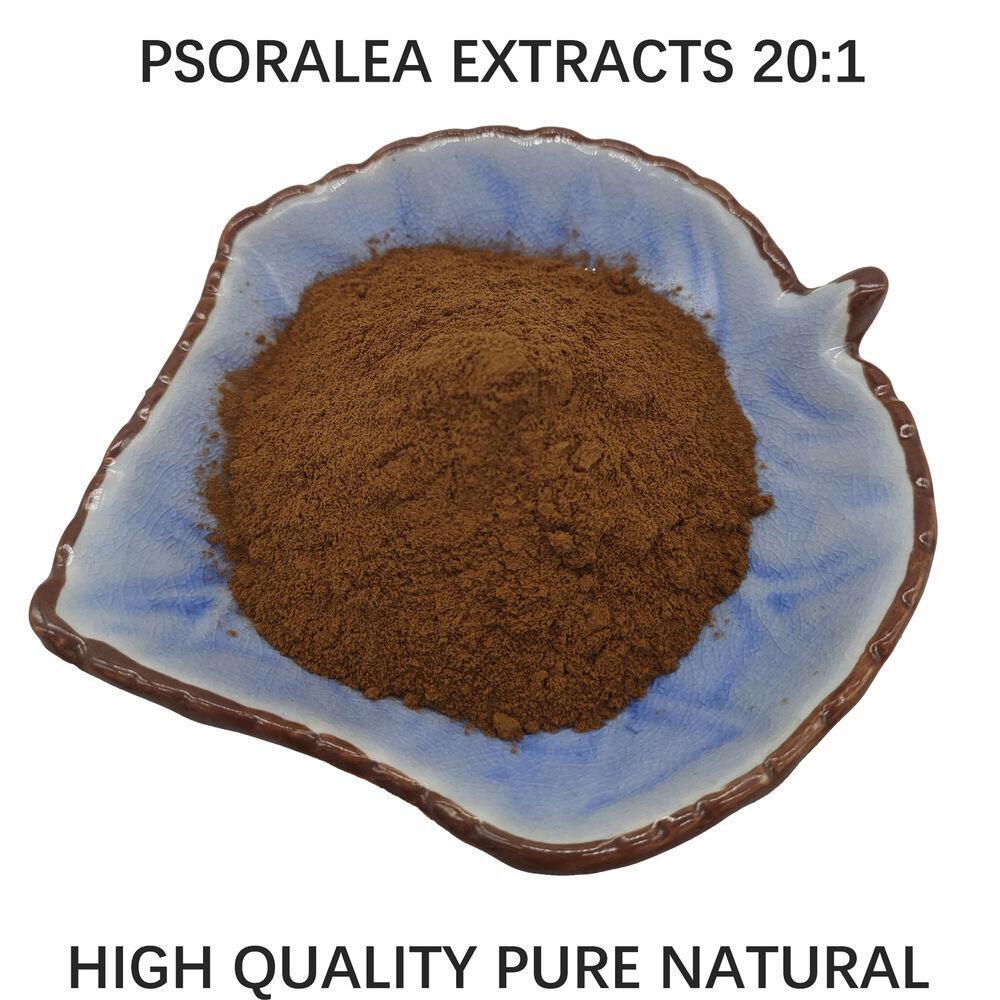 500g Pure Psoralea Extract 20:1 Powder Main image