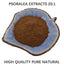 500g Pure Psoralea Extract 20:1 Powder