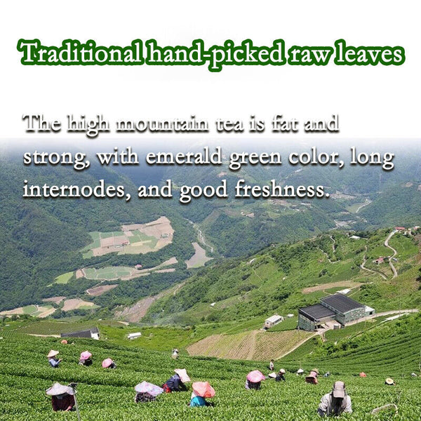 250g HelloYoung Premium Organic Taiwan Jinxuan Oolong Tea Bags Milk Oolong Tea