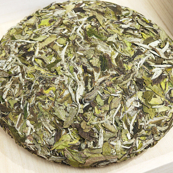 2025 Fuding Bai Mu Dan White Tea Cake Floral Aroma Spring Buds Loose Leaf