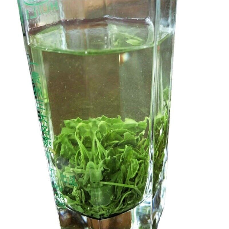 HelloYoung Fragrant Tea Alpine Yunwu Green Tea Wholesale Rizhao Fried Green Strong Tea